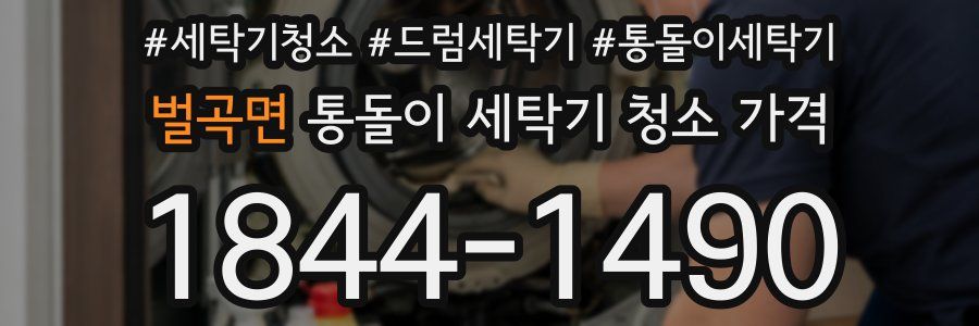 벌곡면 통돌이 세탁기 청소 가격