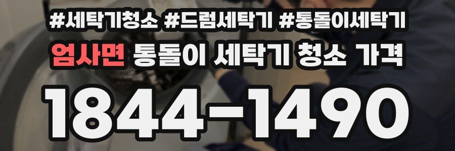 엄사면 통돌이 세탁기 청소 가격