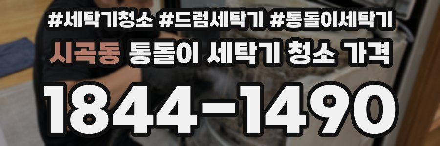 시곡동 통돌이 세탁기 청소 가격
