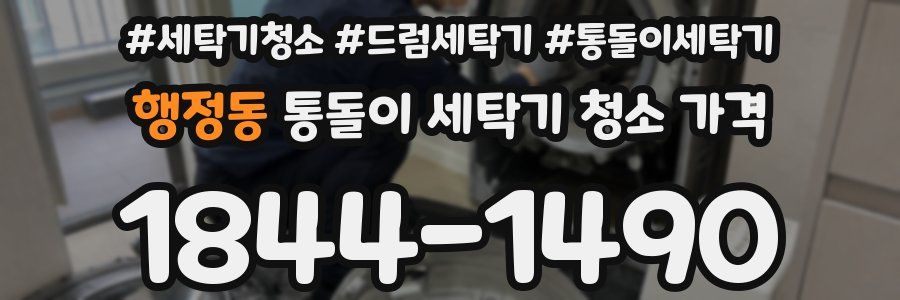 행정동 통돌이 세탁기 청소 가격