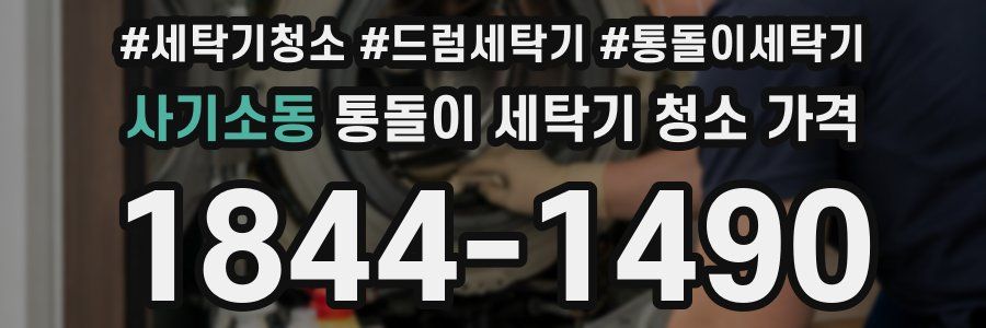 사기소동 통돌이 세탁기 청소 가격