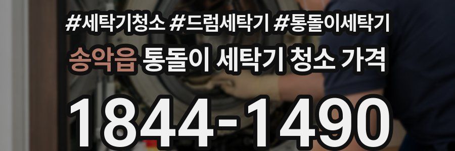 송악읍 통돌이 세탁기 청소 가격