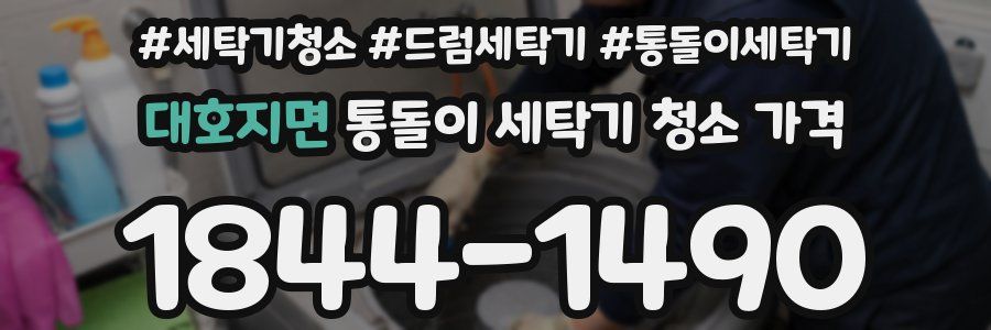 대호지면 통돌이 세탁기 청소 가격
