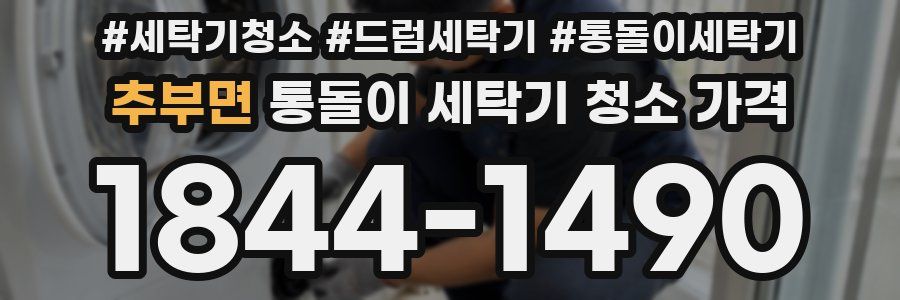 추부면 통돌이 세탁기 청소 가격