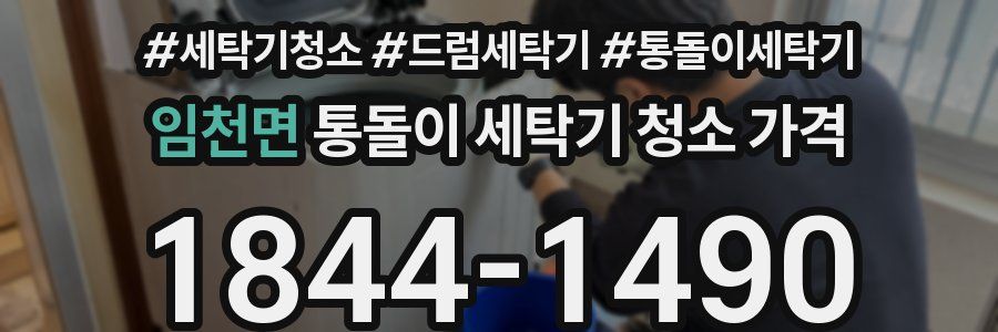임천면 통돌이 세탁기 청소 가격