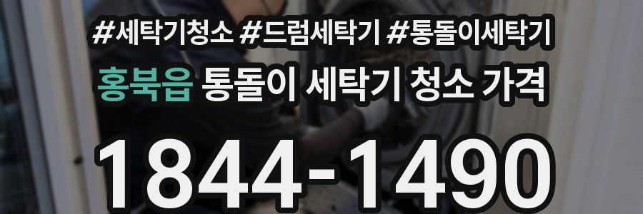 홍북읍 통돌이 세탁기 청소 가격