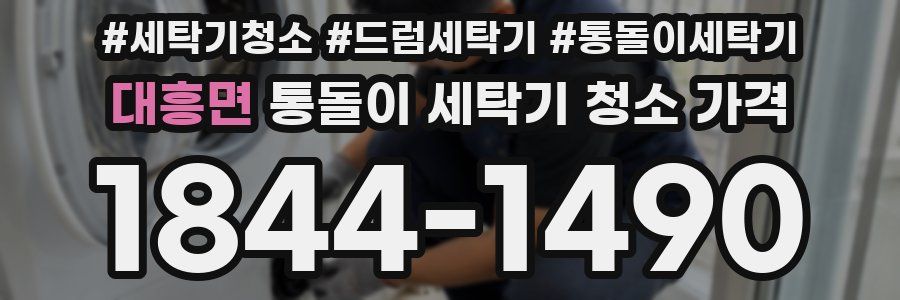 대흥면 통돌이 세탁기 청소 가격