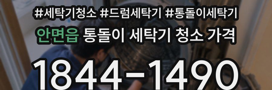 안면읍 통돌이 세탁기 청소 가격