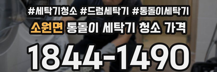 소원면 통돌이 세탁기 청소 가격