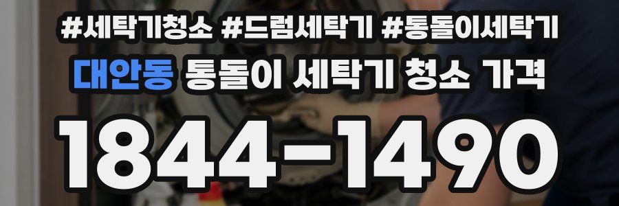 대안동 통돌이 세탁기 청소 가격