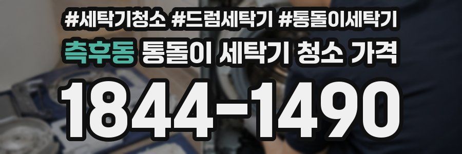 측후동 통돌이 세탁기 청소 가격
