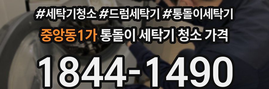 중앙동1가 통돌이 세탁기 청소 가격