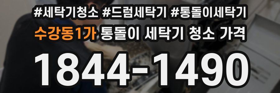 수강동1가 통돌이 세탁기 청소 가격