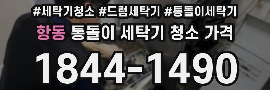 항동 통돌이 세탁기 청소 가격