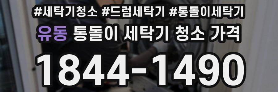 유동 통돌이 세탁기 청소 가격