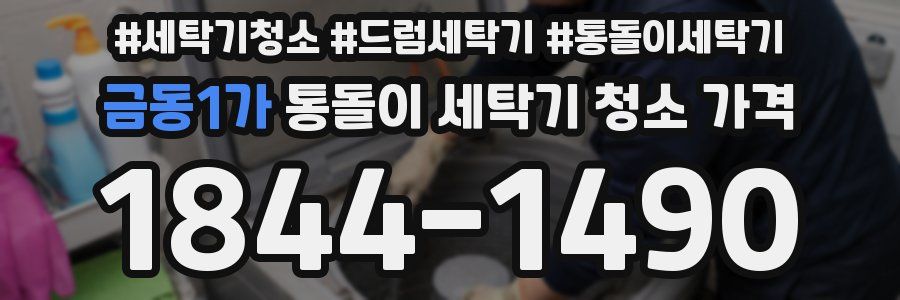 금동1가 통돌이 세탁기 청소 가격