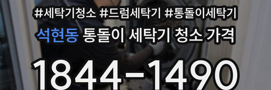 석현동 통돌이 세탁기 청소 가격