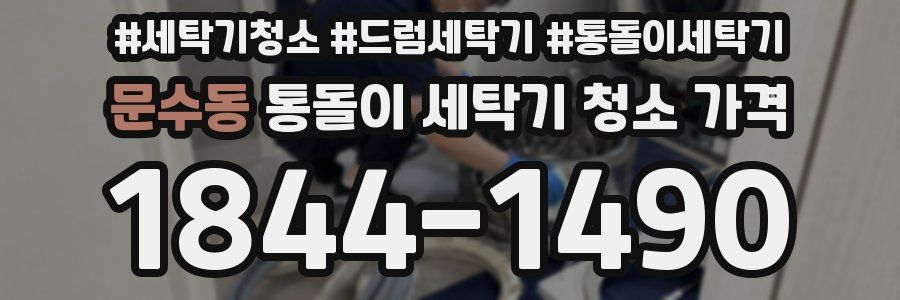 문수동 통돌이 세탁기 청소 가격