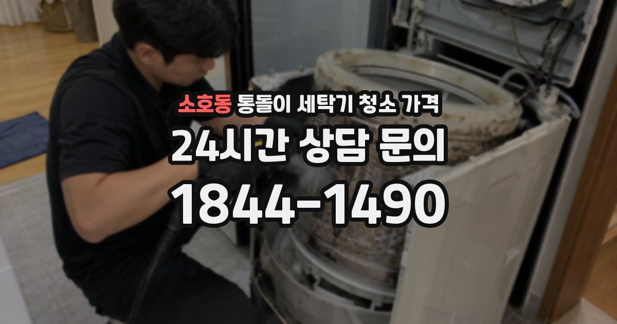 소호동 통돌이 세탁기 청소 가격