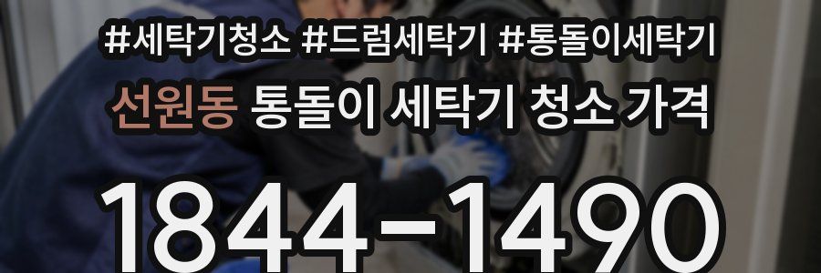 선원동 통돌이 세탁기 청소 가격