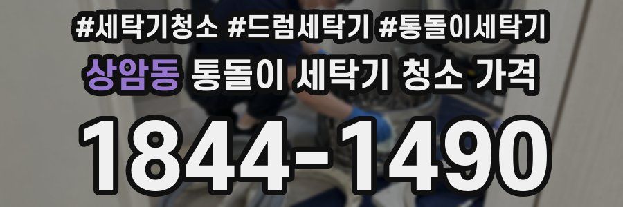 상암동 통돌이 세탁기 청소 가격