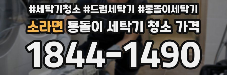 소라면 통돌이 세탁기 청소 가격