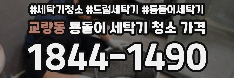 교량동 통돌이 세탁기 청소 가격
