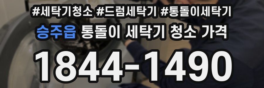 승주읍 통돌이 세탁기 청소 가격