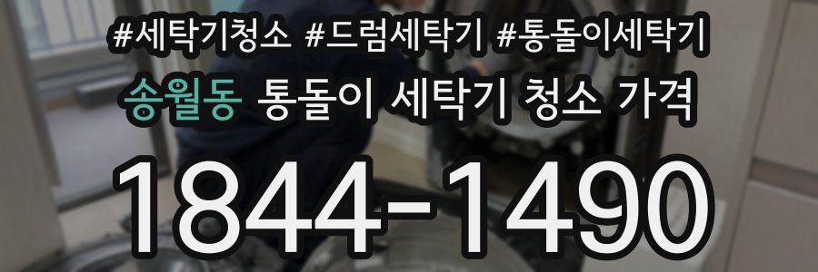 송월동 통돌이 세탁기 청소 가격