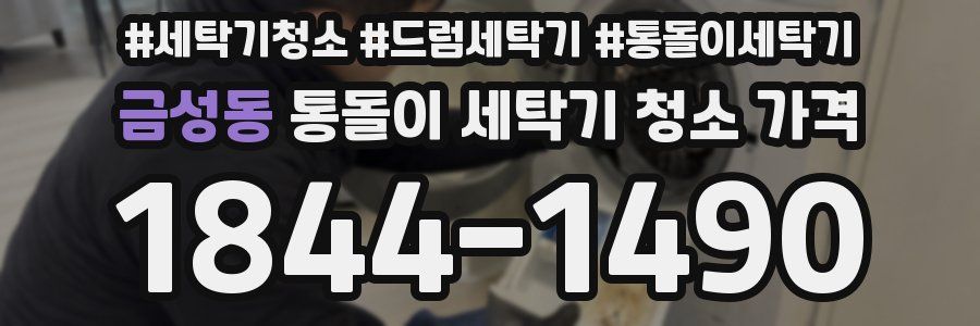 금성동 통돌이 세탁기 청소 가격