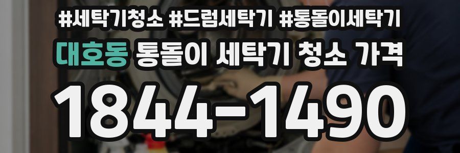 대호동 통돌이 세탁기 청소 가격