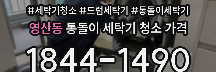 영산동 통돌이 세탁기 청소 가격