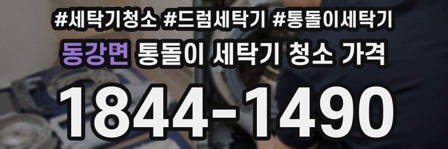 동강면 통돌이 세탁기 청소 가격