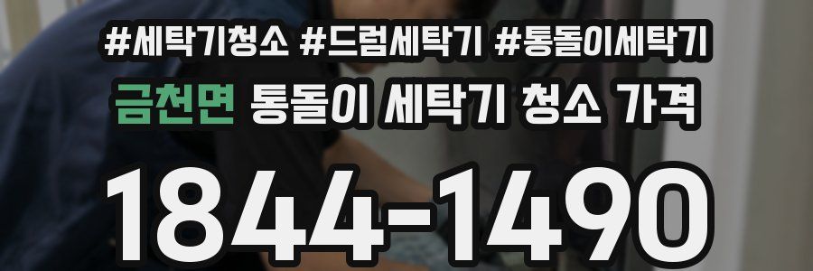 금천면 통돌이 세탁기 청소 가격