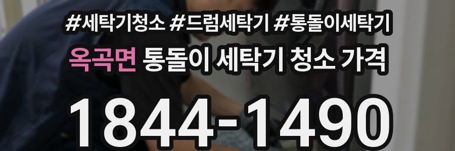 옥곡면 통돌이 세탁기 청소 가격
