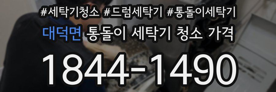 대덕면 통돌이 세탁기 청소 가격