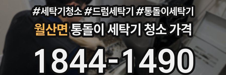 월산면 통돌이 세탁기 청소 가격