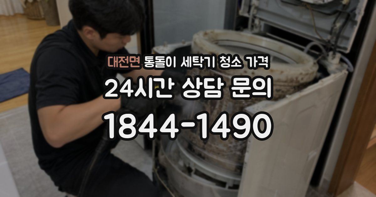 대전면 통돌이 세탁기 청소 가격