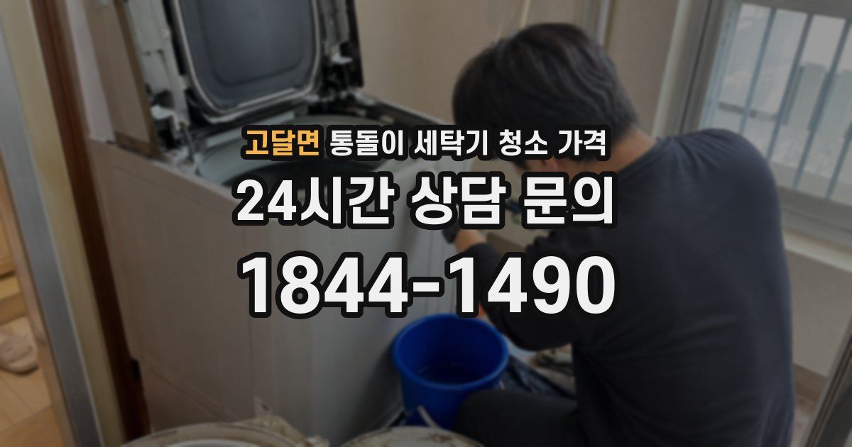 고달면 통돌이 세탁기 청소 가격