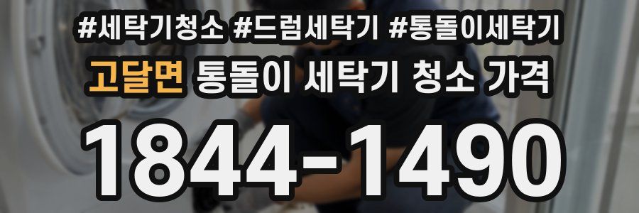 고달면 통돌이 세탁기 청소 가격
