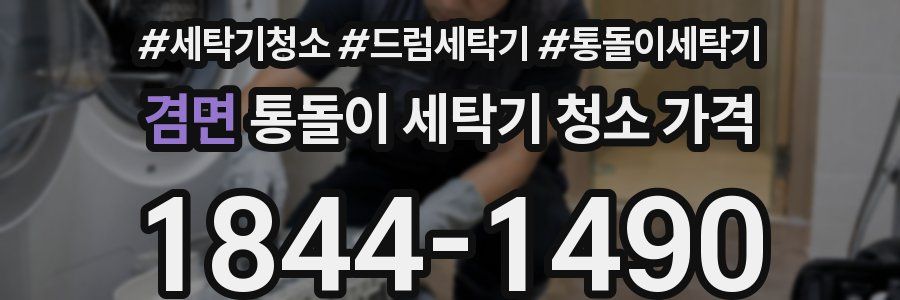 겸면 통돌이 세탁기 청소 가격