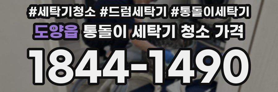 도양읍 통돌이 세탁기 청소 가격