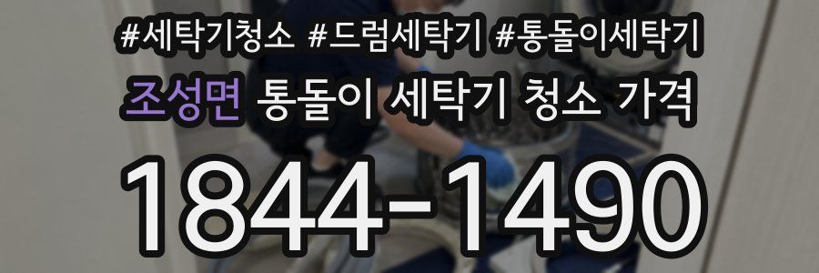 조성면 통돌이 세탁기 청소 가격