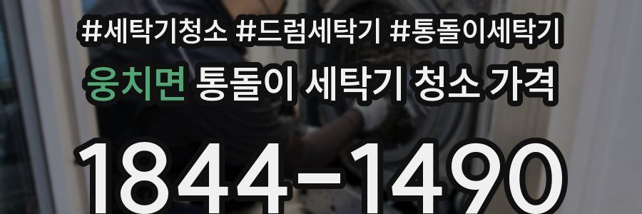 웅치면 통돌이 세탁기 청소 가격