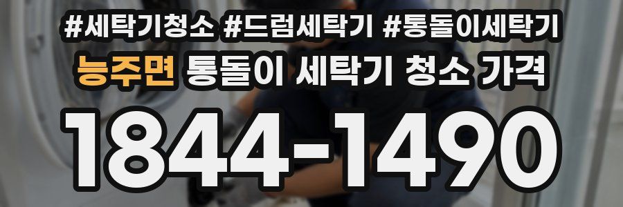 능주면 통돌이 세탁기 청소 가격