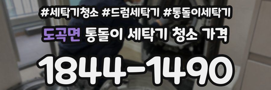 도곡면 통돌이 세탁기 청소 가격