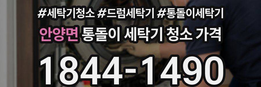 안양면 통돌이 세탁기 청소 가격