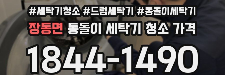 장동면 통돌이 세탁기 청소 가격