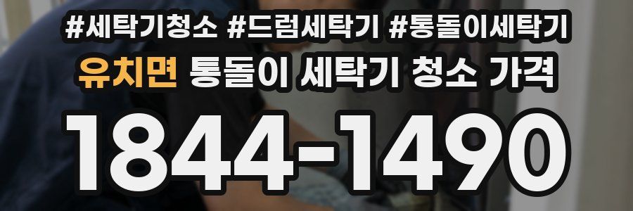 유치면 통돌이 세탁기 청소 가격