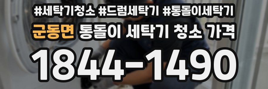 군동면 통돌이 세탁기 청소 가격